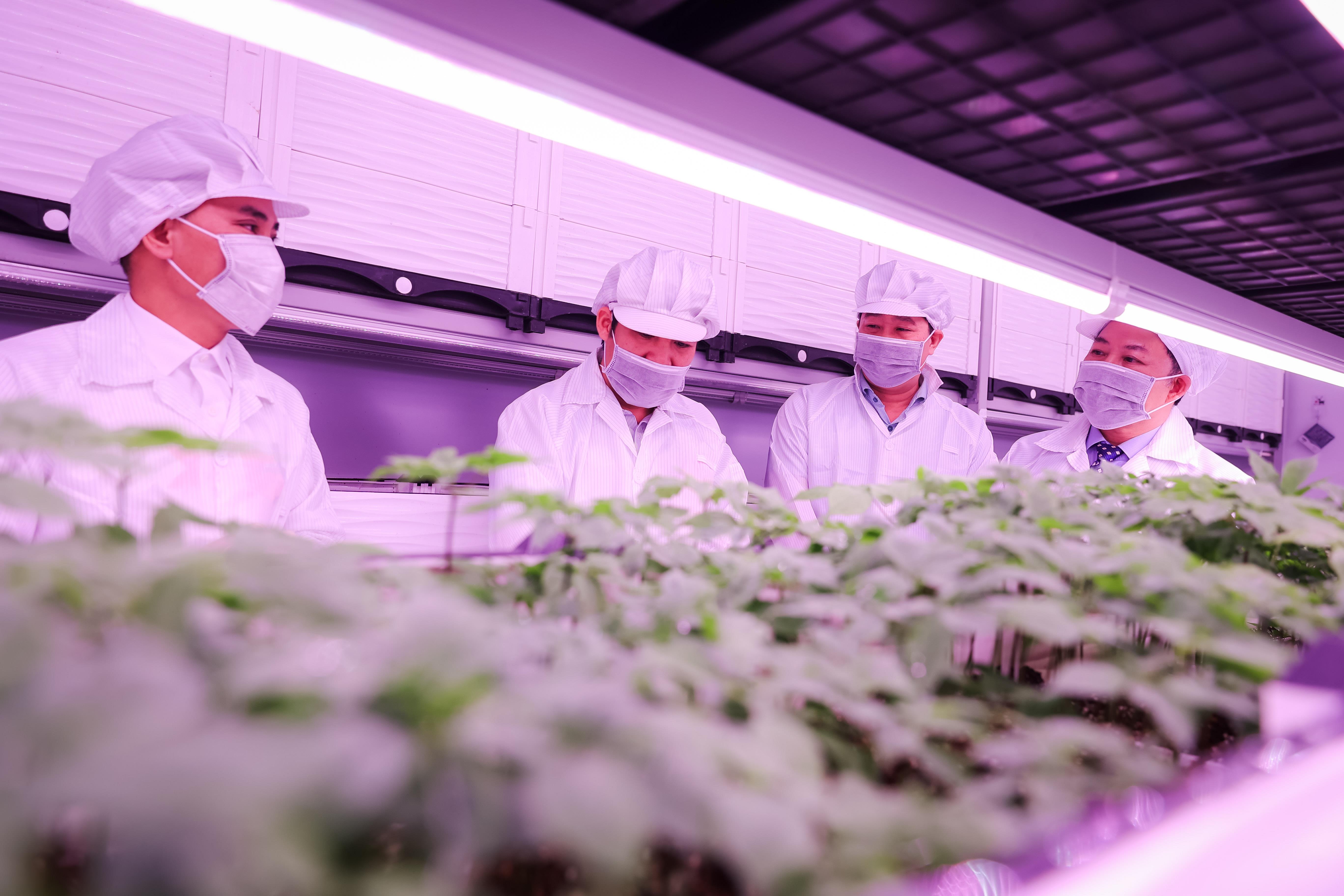 Avalve Action on Poverty P4G